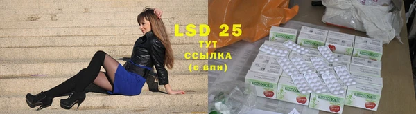 индика Аркадак