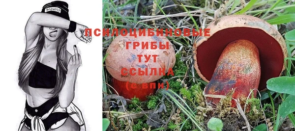ГАЛЛЮЦИНОГЕННЫЕ ГРИБЫ Армянск