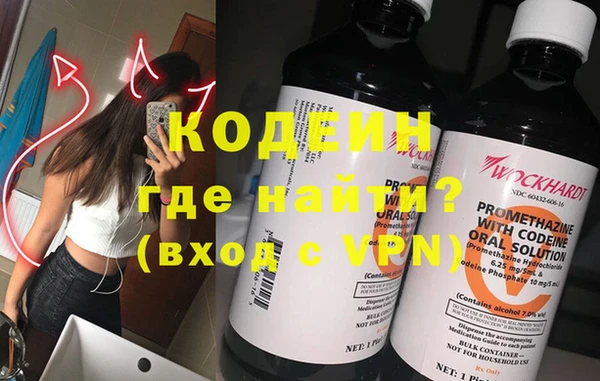 индика Аркадак