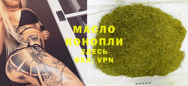 индика Аркадак