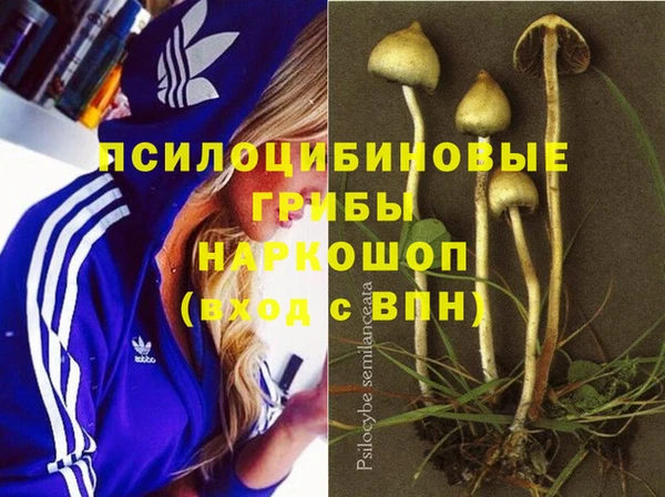 a pvp Арсеньев