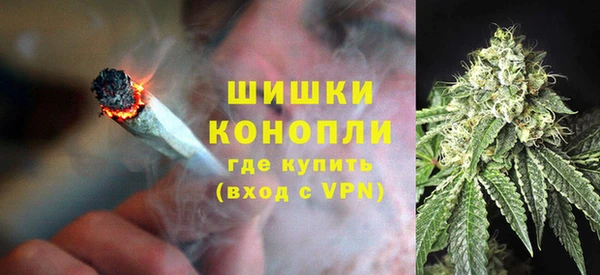 индика Аркадак