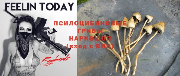 ГАЛЛЮЦИНОГЕННЫЕ ГРИБЫ Армянск