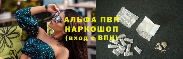 индика Аркадак