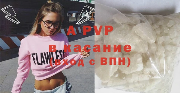 индика Аркадак