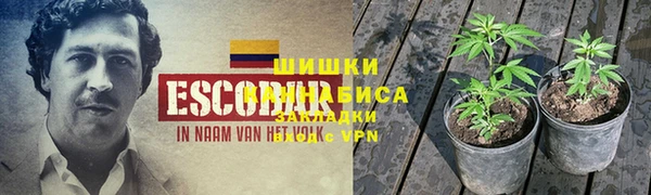 ГАЛЛЮЦИНОГЕННЫЕ ГРИБЫ Армянск