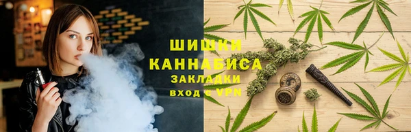 ГАЛЛЮЦИНОГЕННЫЕ ГРИБЫ Армянск