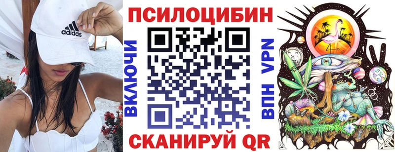 Галлюциногенные грибы Psilocybe  Новодвинск 