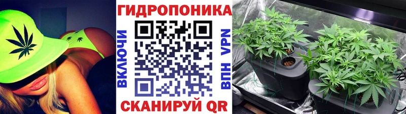 Марихуана OG Kush Новодвинск